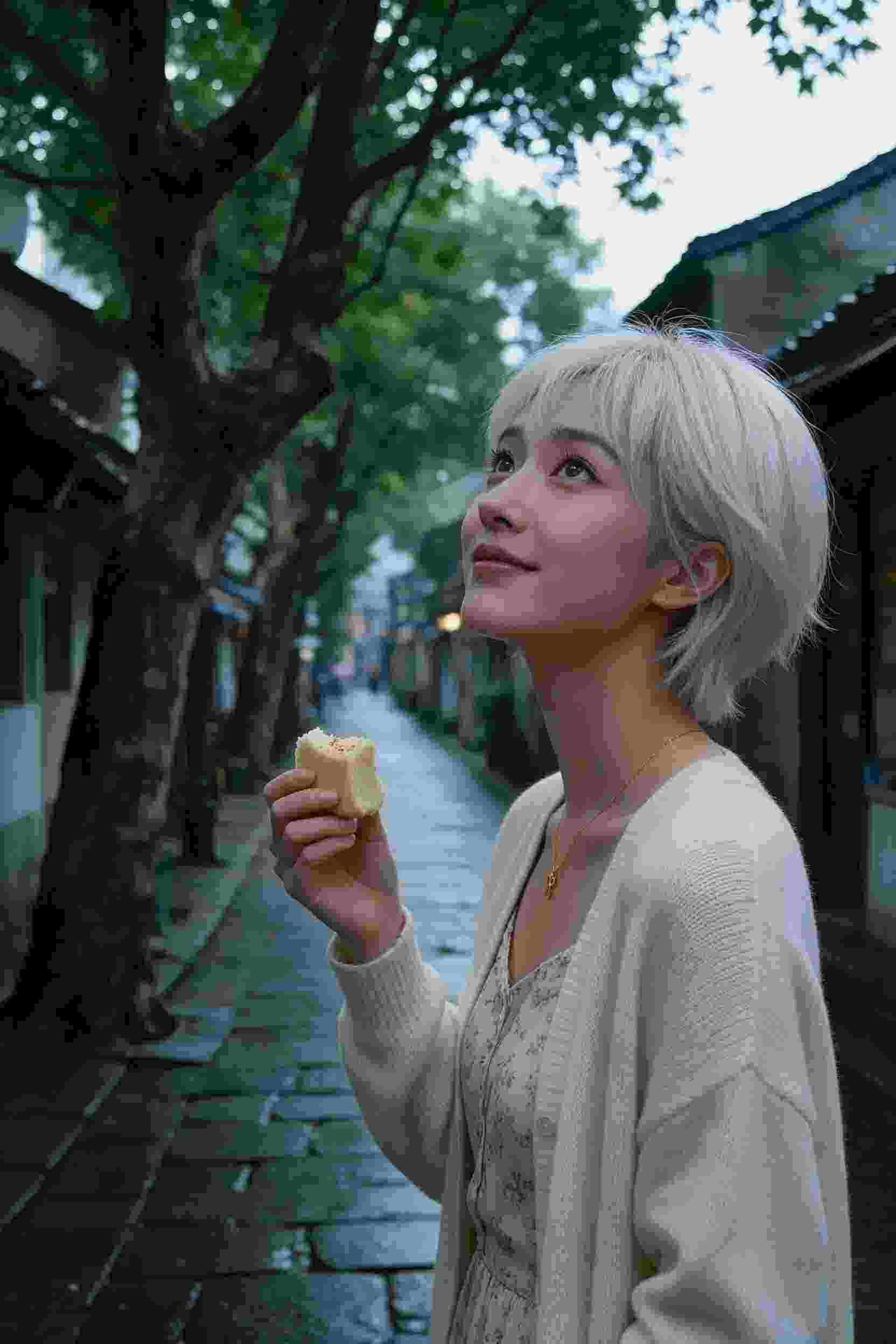 动漫作品